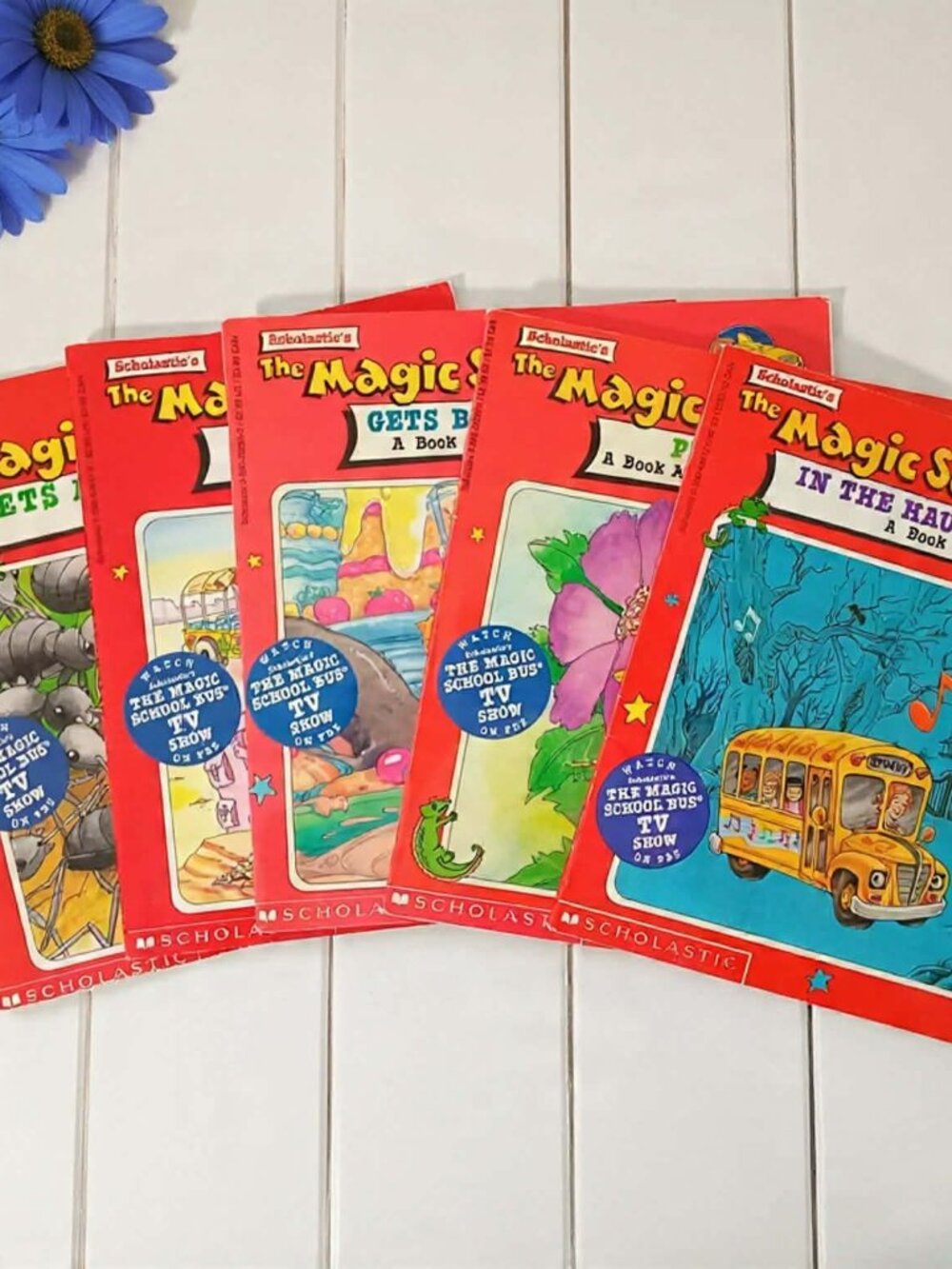 The Magic School Bus Lot of 5 Kids Books Scholastic (Vintage, 90s) First Edition
